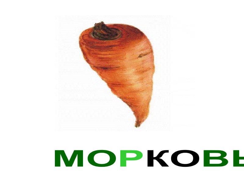 МОРКОВЬ